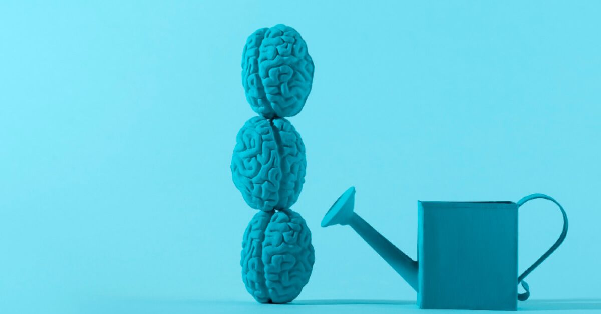 Watering a brain